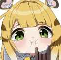 858 KB