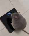 346 KB