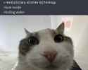 202 KB