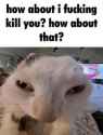 25 KB