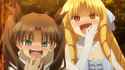1.63 MB