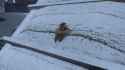 3.41 MB