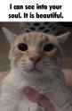 33 KB