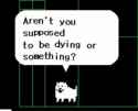 23 KB