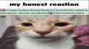 273 KB