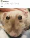 130 KB