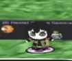 23 KB