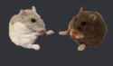 4 KB