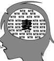 45 KB