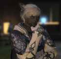 247 KB