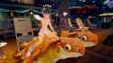 2.79 MB