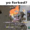 3.67 MB