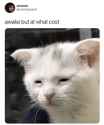 293 KB