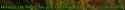 53 KB