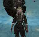 1.42 MB