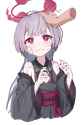 1.05 MB