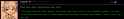 49 KB