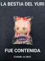 244 KB