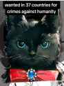 279 KB