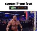 1.55 MB