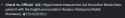 19 KB