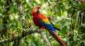 1.64 MB