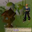 75 KB