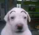 36 KB