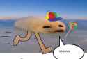 23 KB