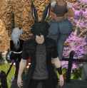 3.87 MB
