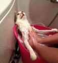 43 KB