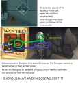 665 KB