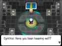 17 KB