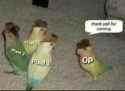 9 KB