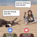 115 KB