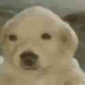 3.37 MB