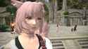 3.85 MB
