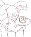 248 KB