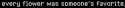 2 KB