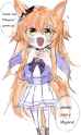 1.11 MB