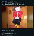 1.29 MB