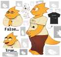 149 KB