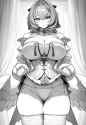 2.76 MB