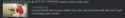 31 KB
