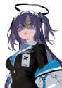 1.03 MB