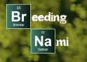 460 KB