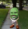 291 KB