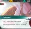 1.06 MB