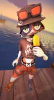 229 KB
