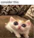 80 KB